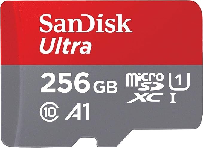 Micro SD Sandisk256 GB